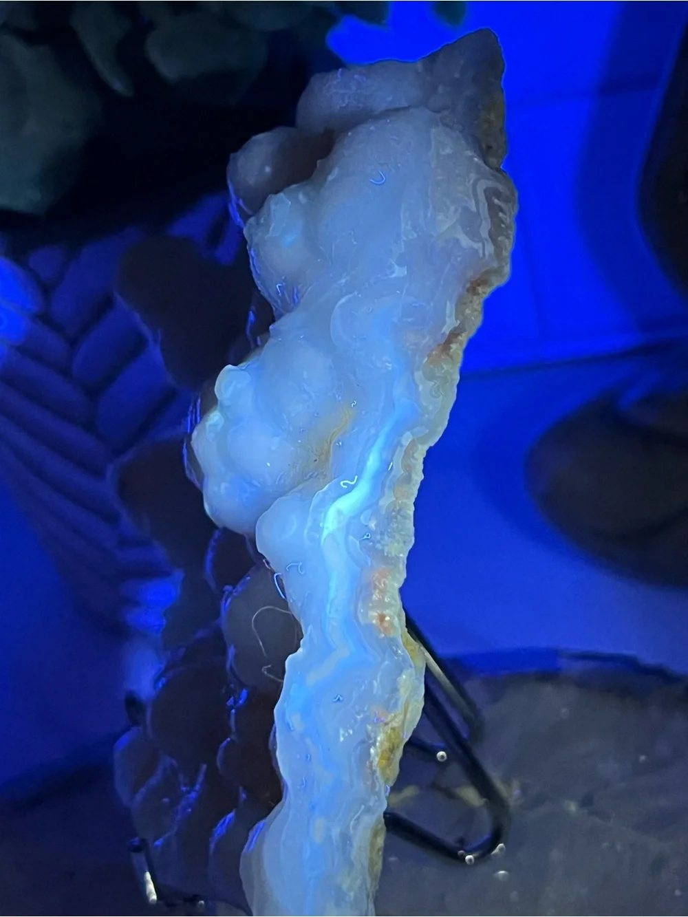 UV Reactive Gobi Eye Agate